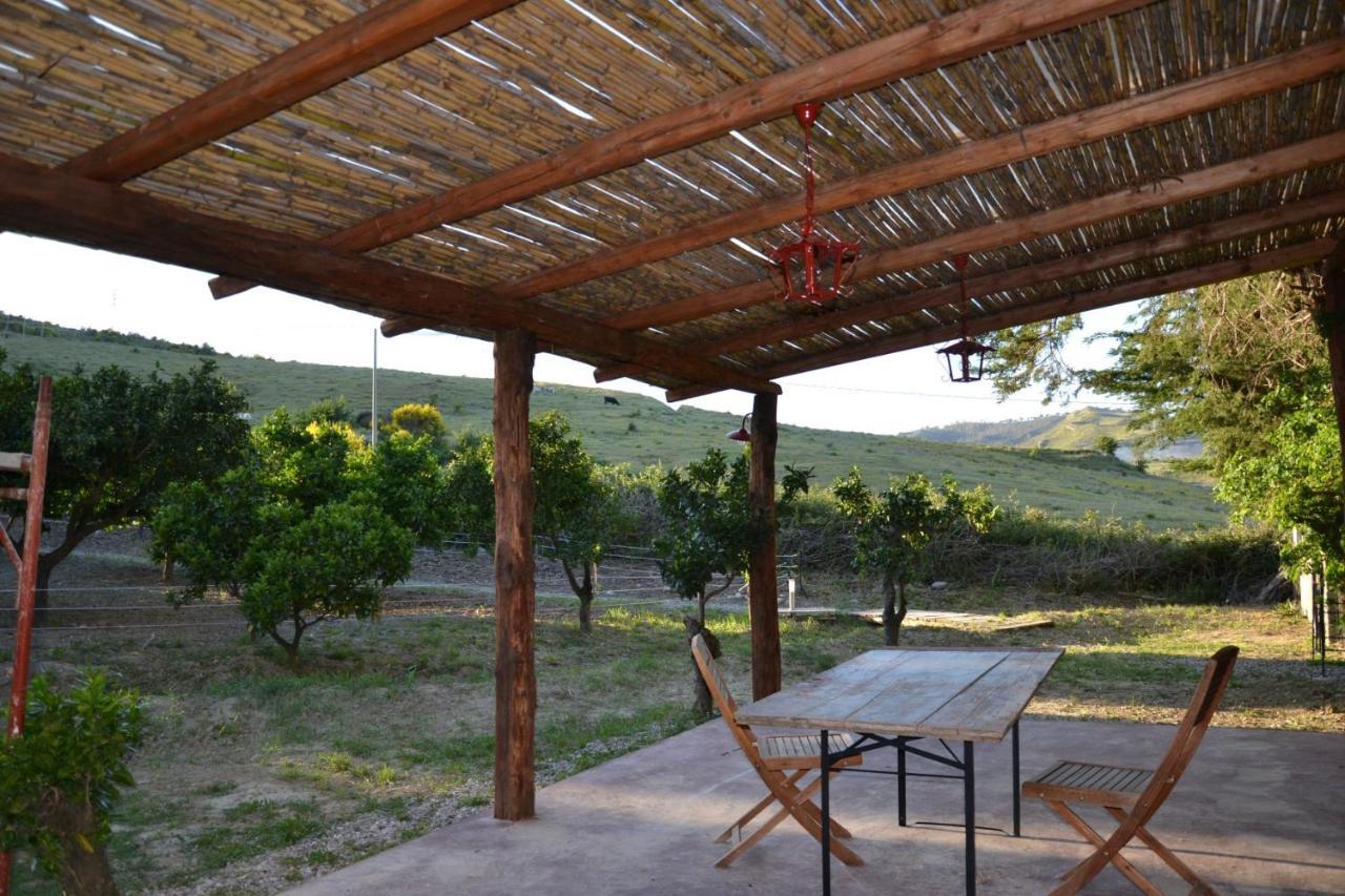 Villa La Cucullera Катандзаро Екстериор снимка