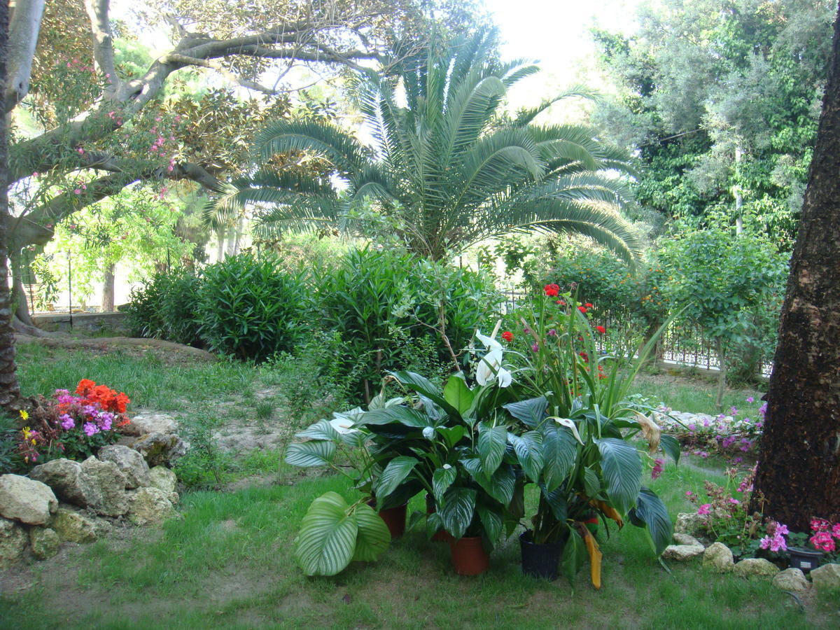 Villa La Cucullera Катандзаро Екстериор снимка